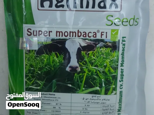 بذور البونيكام اف سي
