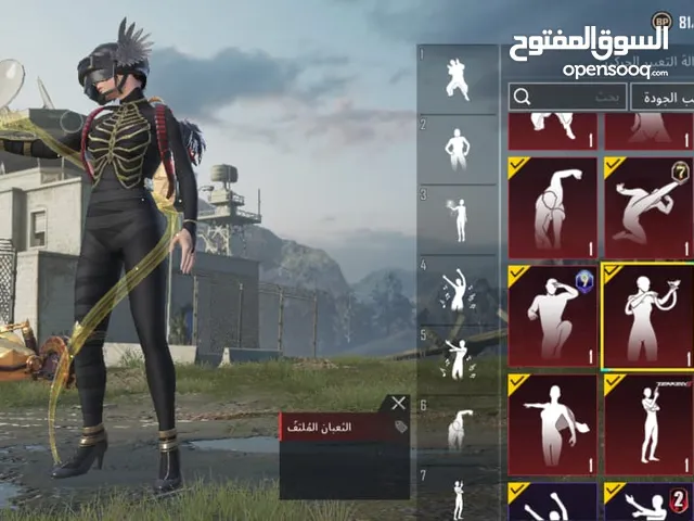 Pubg Accounts and Characters for Sale in Amman