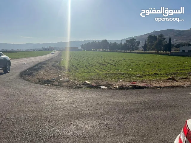 Residential Land for Sale in Salt Ein Al-Basha