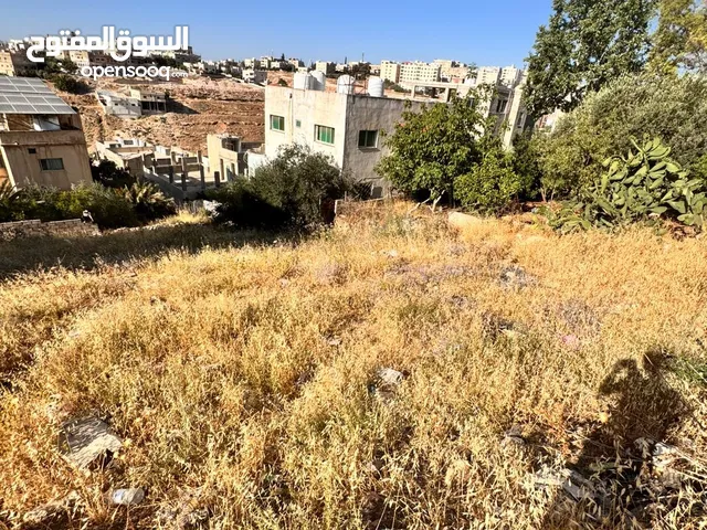 Residential Land for Sale in Irbid Zabda