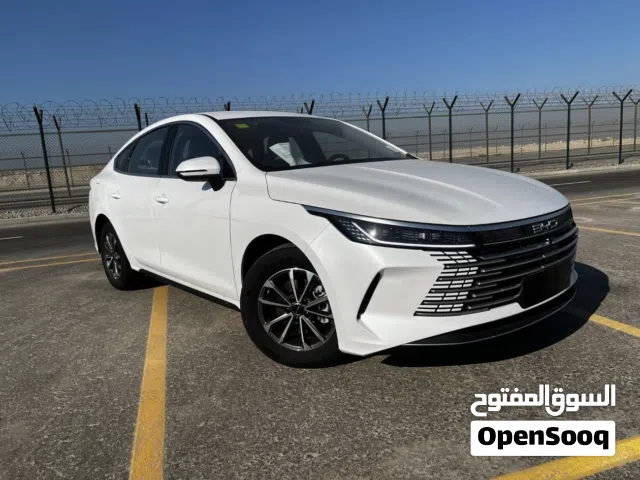 2025 BYD Destroyer 05