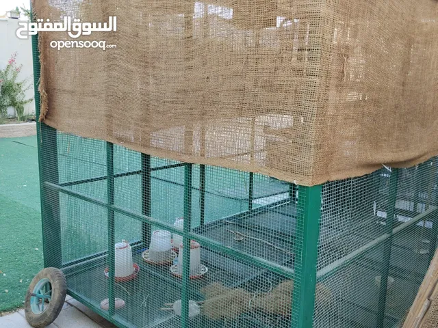 قفص كبير للبيع 2*3