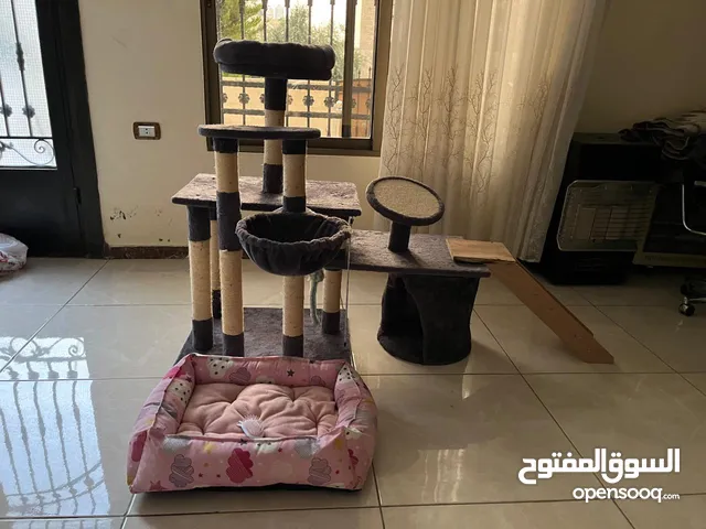 بيت ومنزل وشجرة قطط مع مشط ولعبه