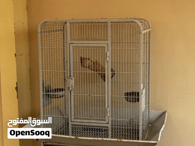 للبيع قفص ب 10 ريال فقط يحتاج صبغ