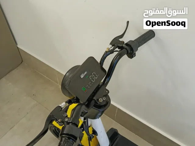 Electronic bike