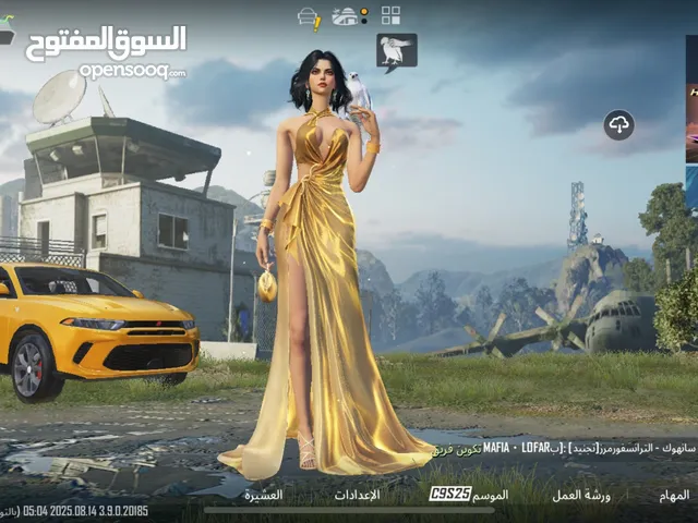 Pubg Accounts and Characters for Sale in Wasit