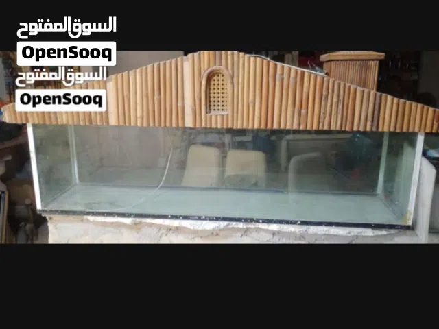 حوض أسماك زينة زجاجي حجم كبير مع غطاء خشبي مميز للبيع - مستعمل بداعي البيع السريع