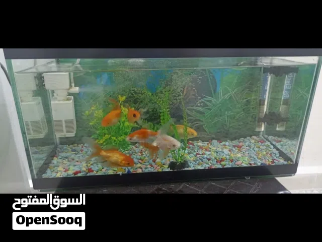 حوض سمك للبيع