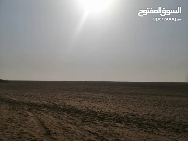 Farm Land for Sale in River Nile Atbara