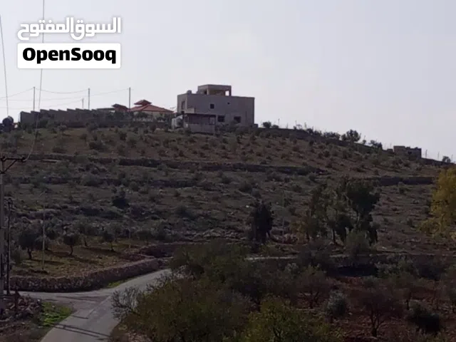 مزرعة للبيع في دحل - ref : 12159