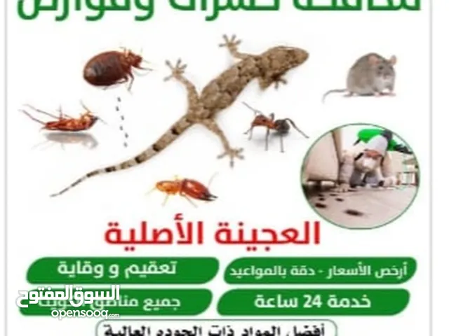 مكافحة جميع الحشرات والقوارض جميع مناطق الكويت