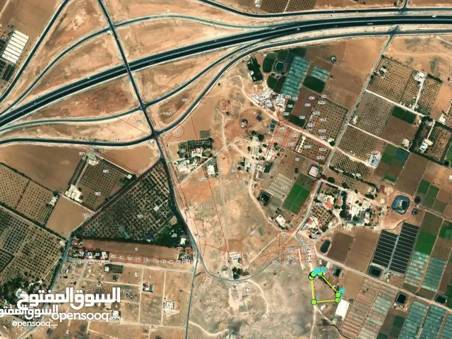Residential Land for Sale in Amman Al Tuneib