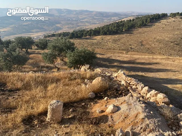 Farm Land for Sale in Jerash Unaybah