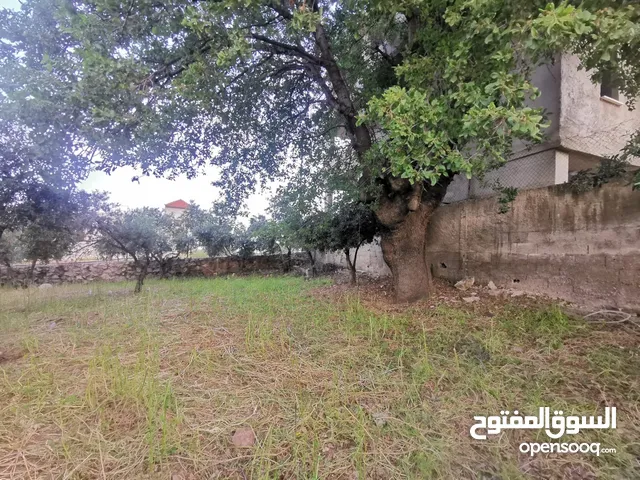 Residential Land for Sale in Salt Al Subeihi