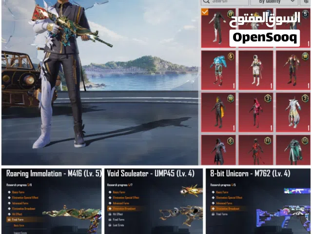 Pubg Accounts and Characters for Sale in Al Batinah