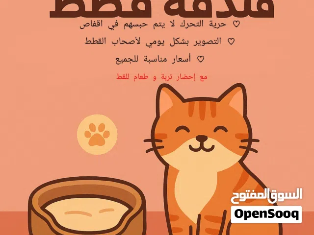 فندقة للقطط