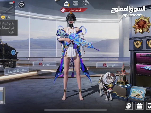 Pubg Accounts and Characters for Sale in Abu Dhabi