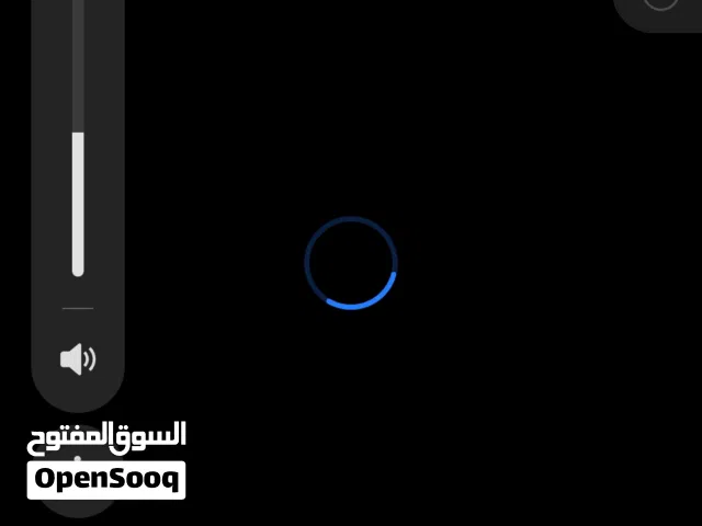 انثي كلاب للو