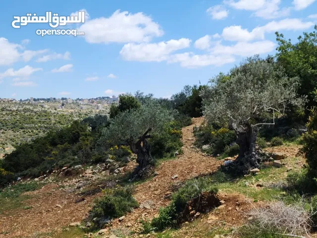 أرض للبيع / كوبر اول البلد