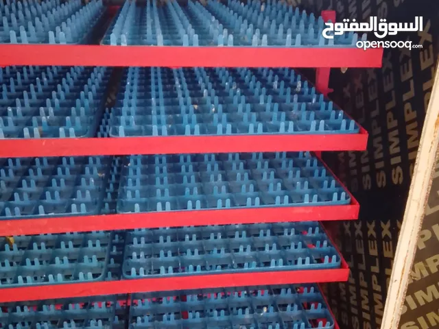 فقاسه سعه 1050 أوسكار للبيع فقاسه وكاله جميع قطع جديده نسبة عالية في تفقيس