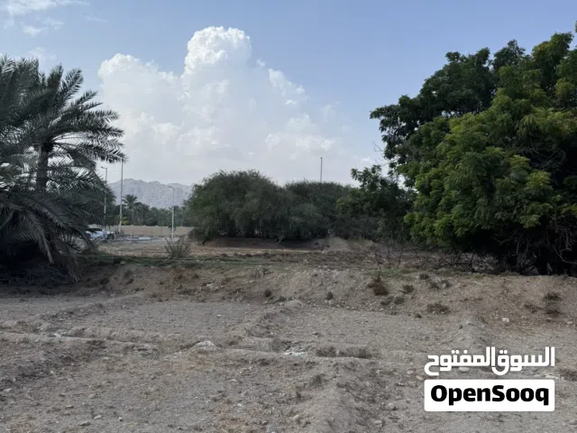 مزارع في الفجيرة ب 1000 شهري ماء حلو