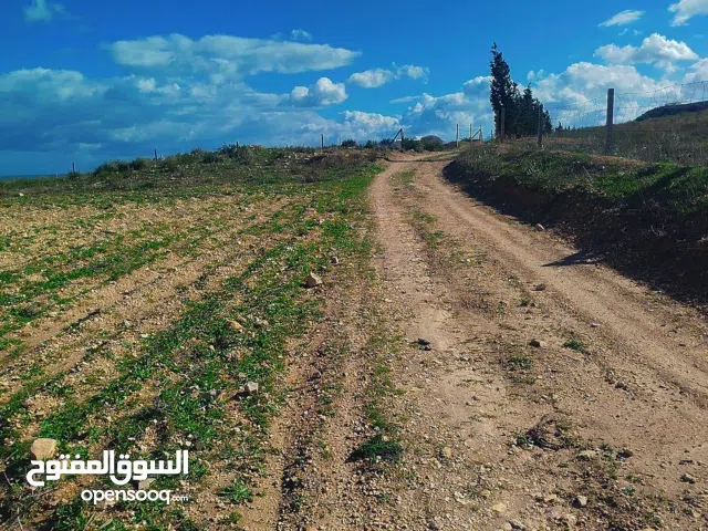 Farm Land for Sale in Sousse Other