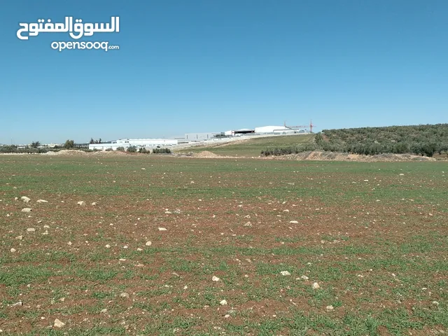 Farm Land for Sale in Amman Howarah
