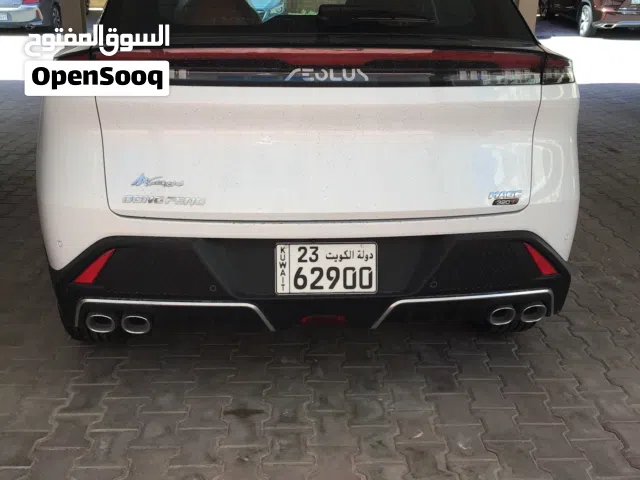 2025 دونج فينج اخرى