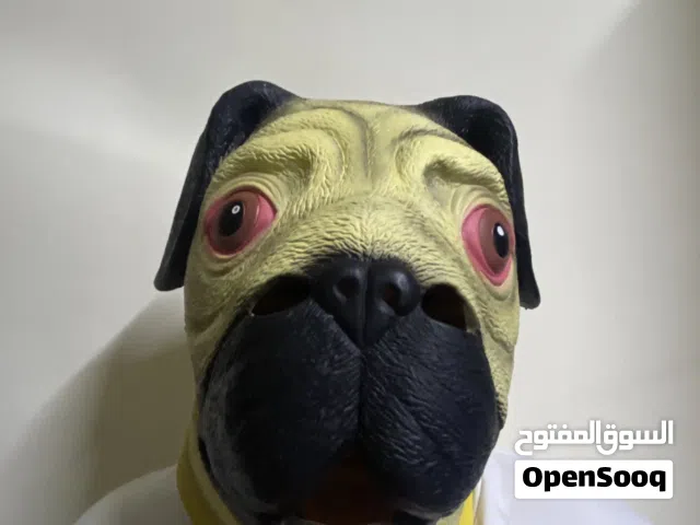 قناعين جلد فخمين (دب + كلب بولدغ) – شكل واقعي وجودة عالية