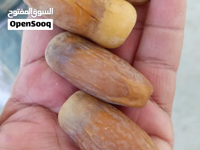 بيع رطب نغال التواصل في الواتس اب