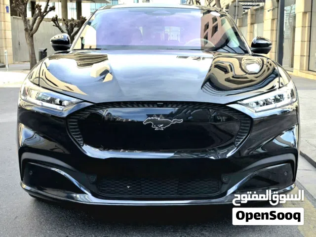 2022 فورد Mach-E California Route 1