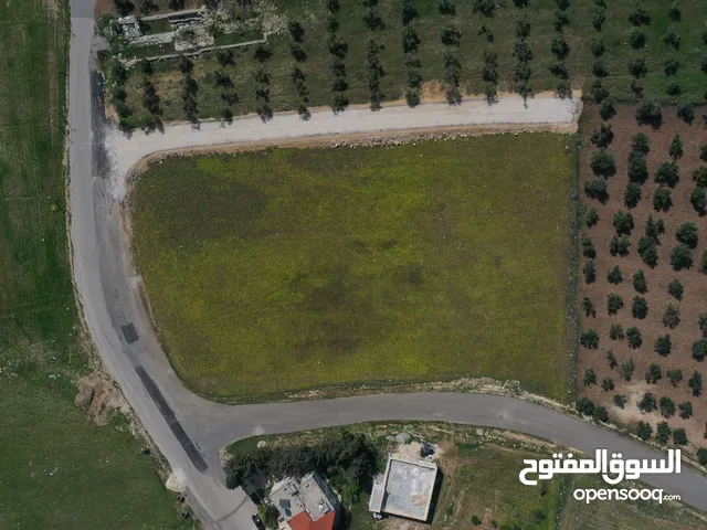 Residential Land for Sale in Amman Marj El Hamam