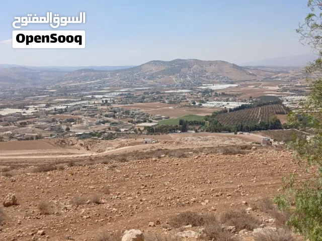 Residential Land for Sale in Amman Abu Nsair