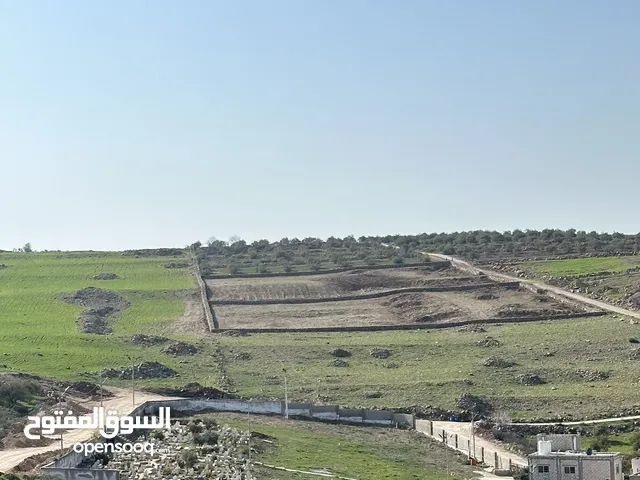 Farm Land for Sale in Irbid Ham