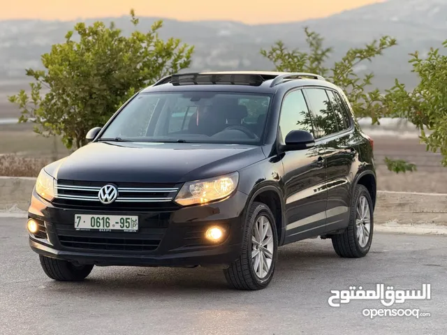 تيجوان 2015