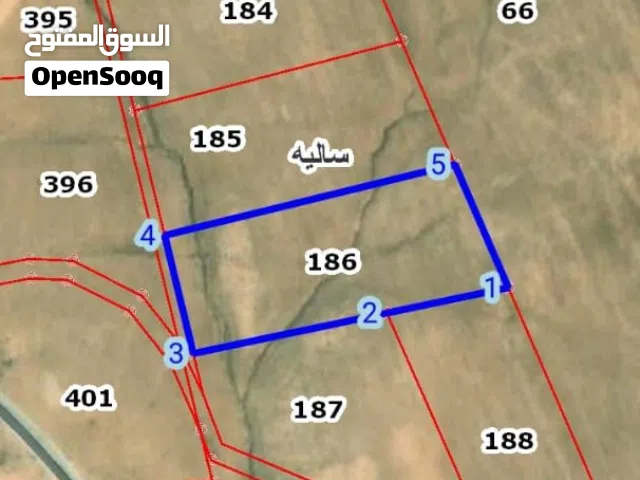 أرض للبيع في سالية بجانب أم الرصاص