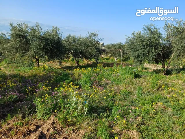 Mixed Use Land for Sale in Irbid Samar