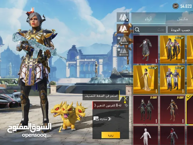 Pubg Accounts and Characters for Sale in Dubai