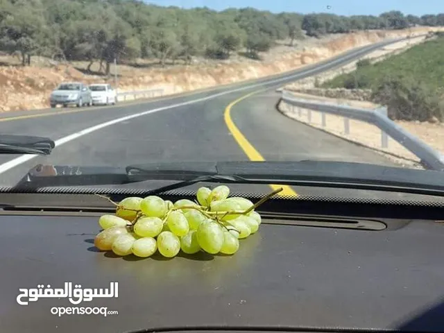 Farm Land for Rent in Ajloun E'in Jana