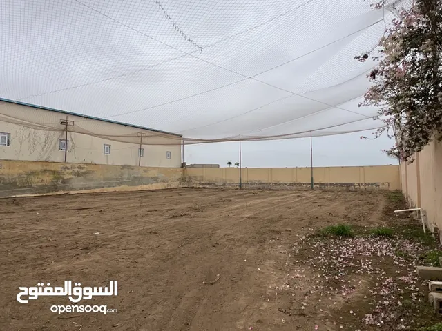 شبك لملاعب الترتان و اعمدة كشافات