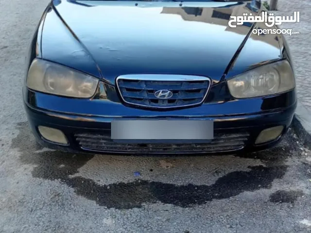 Used Hyundai Elantra in Amman