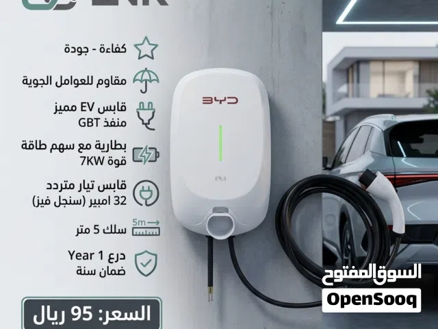 شاحن Byd للسيارات الكهربائية EV (نوعان)