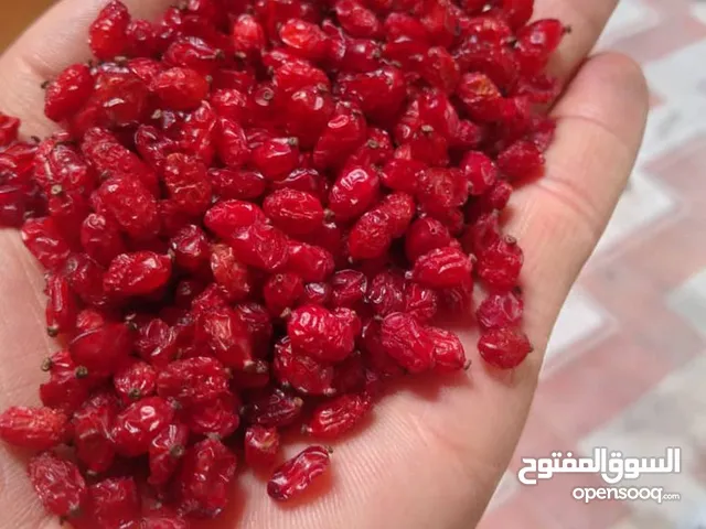 "الزبيب الإيراني الممتاز – توصيل سريع إلى عمان والإمارات"