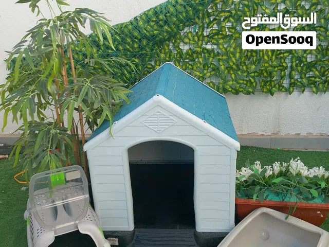 اغراض قطط للبيع