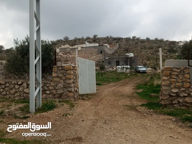 Studio Farms for Sale in Zarqa Birayn