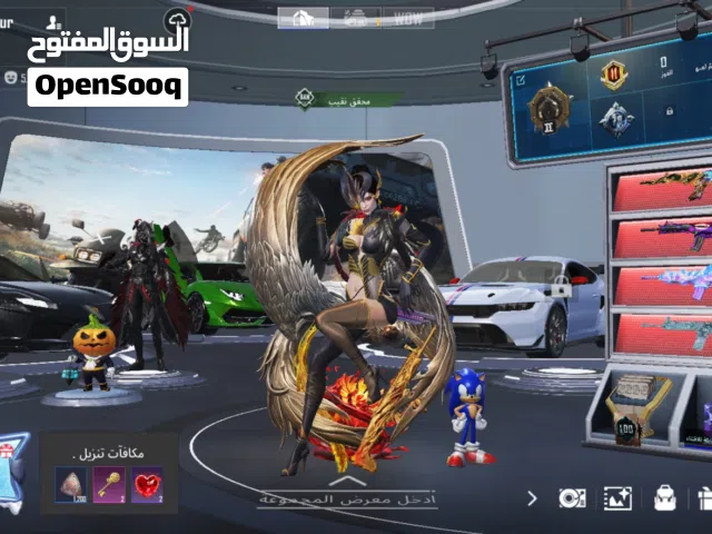 Pubg Accounts and Characters for Sale in Abu Dhabi