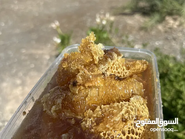 للبيع عسل أبو طويق