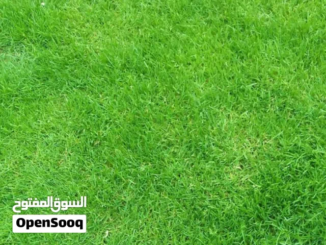 Farm Land for Sale in Ramtha Romtha