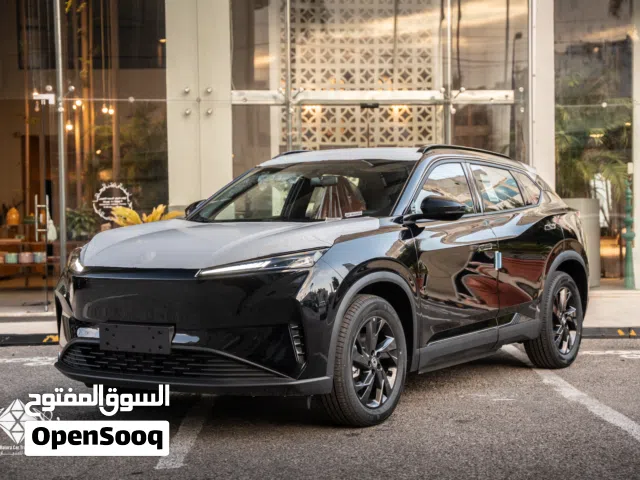 2026, دونج فينج, سكاي EV01