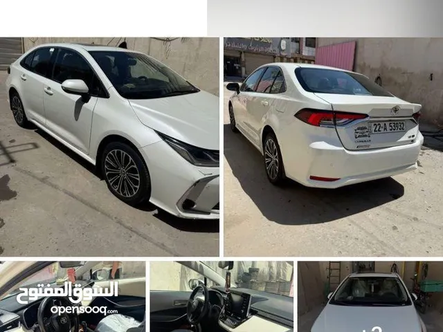كورلا 2019 كفالة عامة